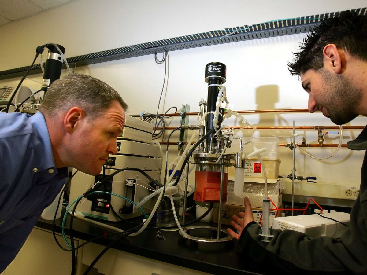 Specific biomedical engineering jobs