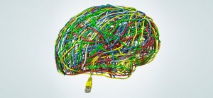 brain-mind-wires-2-1940x900_35021