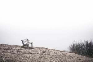 Free- Bench on a Lonely Beach