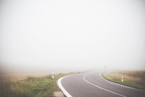 Free- Lonely Foggy Road