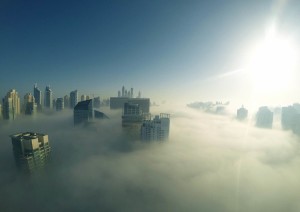 Free- Morning Fog City