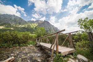 Free- Broken Bridge to a Mountain