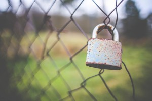 Free- Lock on Fence