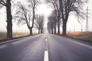 Free- Straight Road with Trees